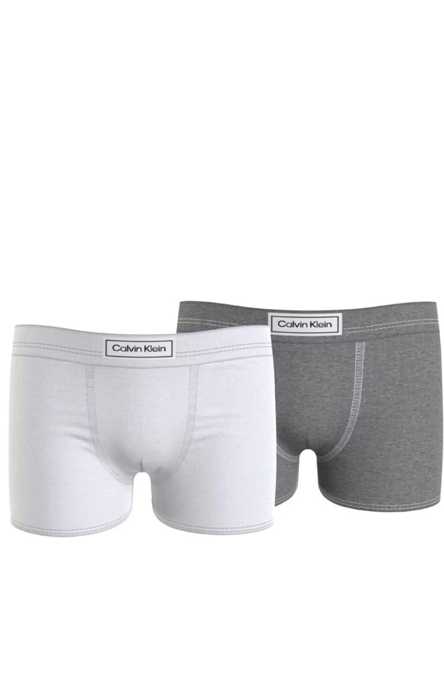 2 Pack Calvin Klein Boys Cotton Trunks - Modern Comfort Underwear for Kids